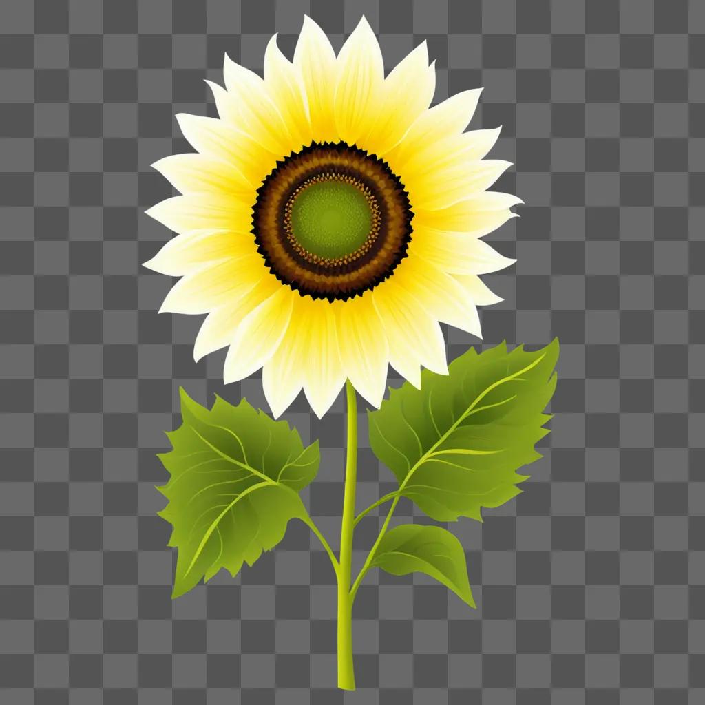 sun flower with a green background