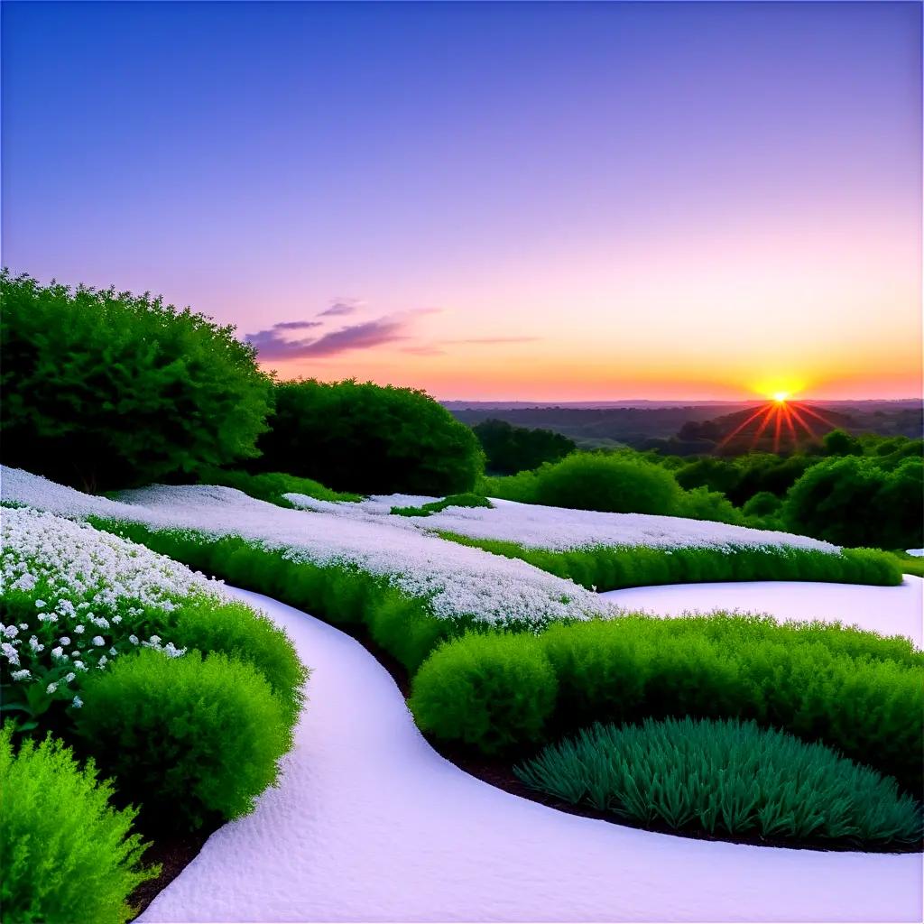 sunset over a snowy garden path