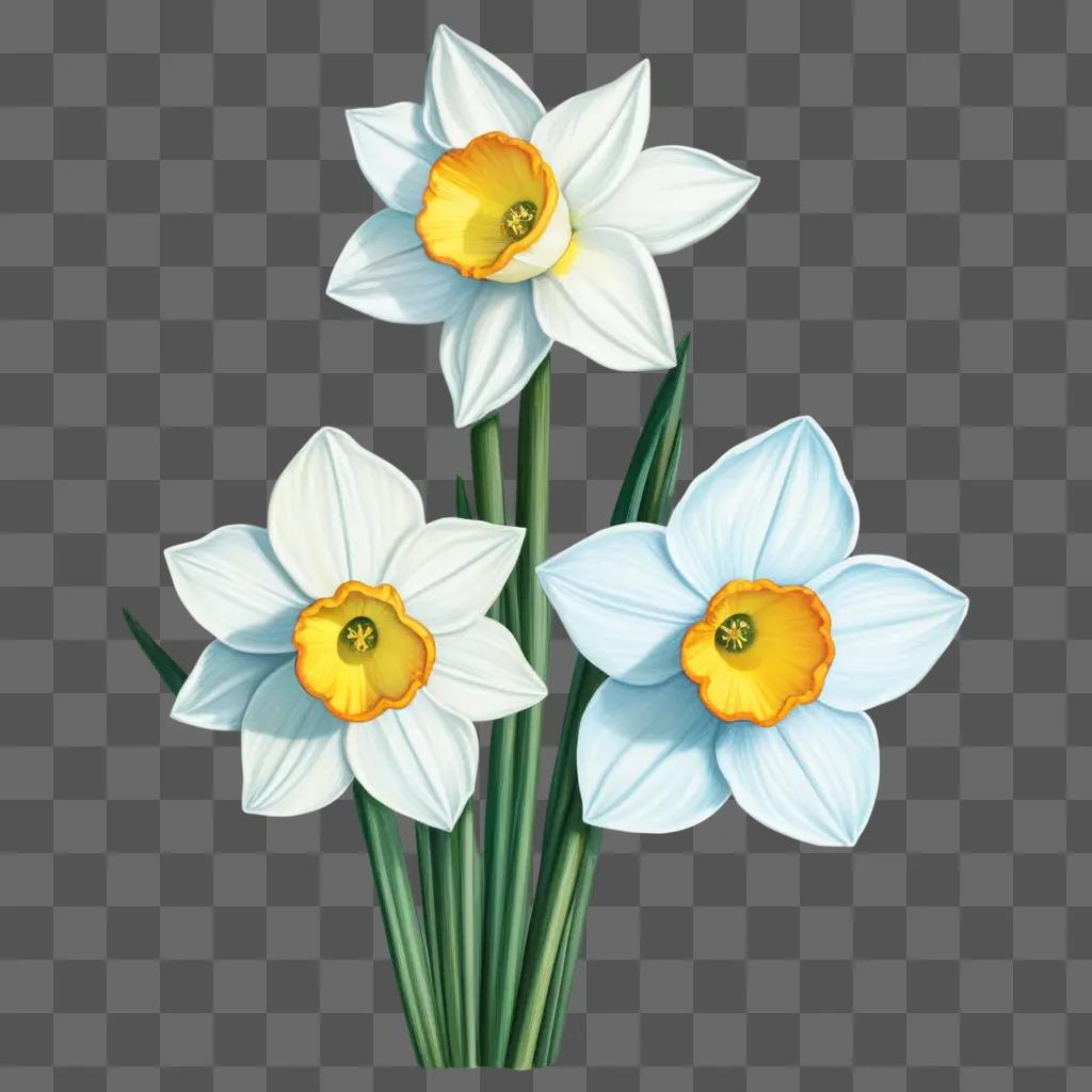 three flower narcissus drawing on a green background