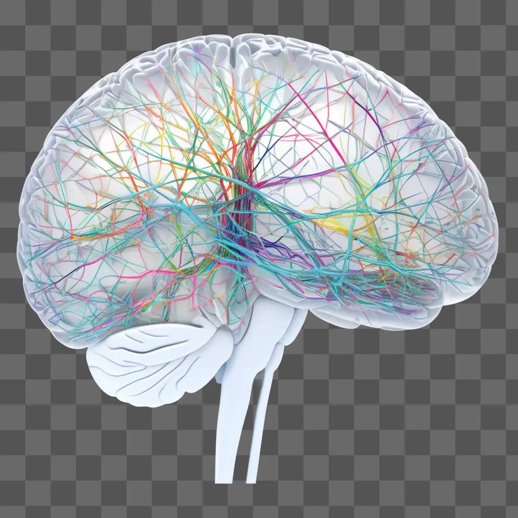 transparent brain with colorful lines