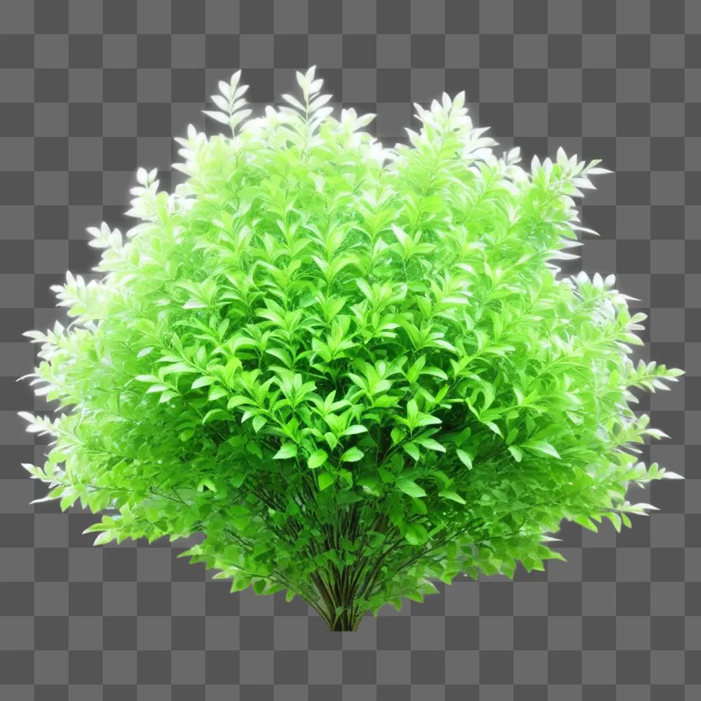 transparent bush is standing against a green background