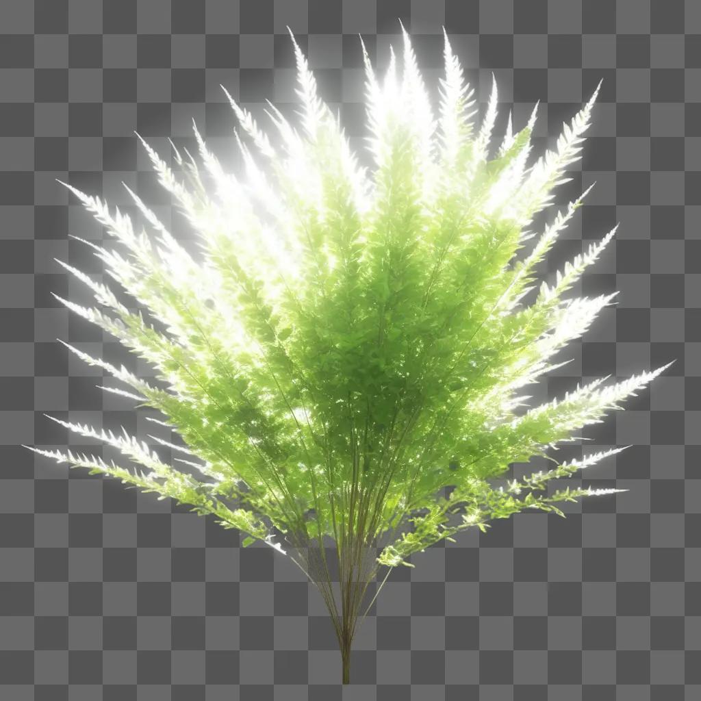 transparent bush on a green background