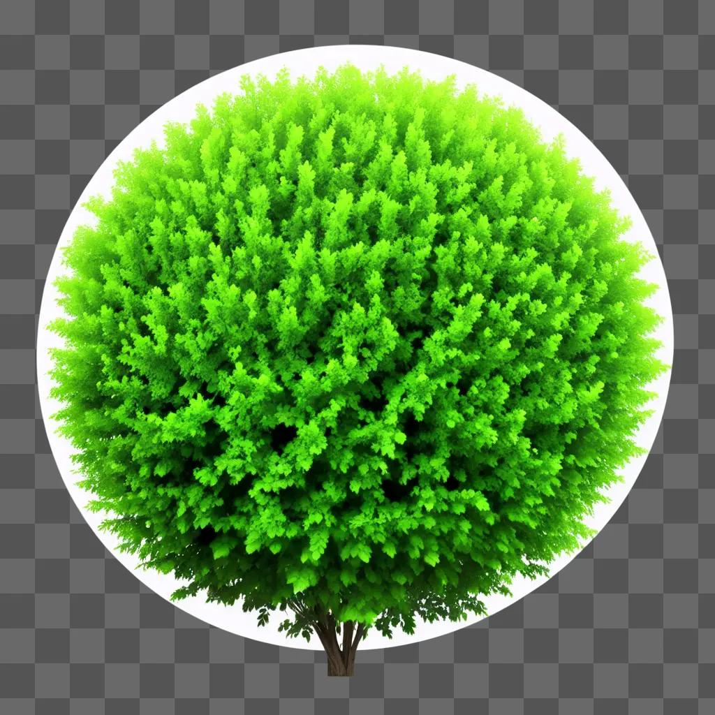 transparent bush with a white background