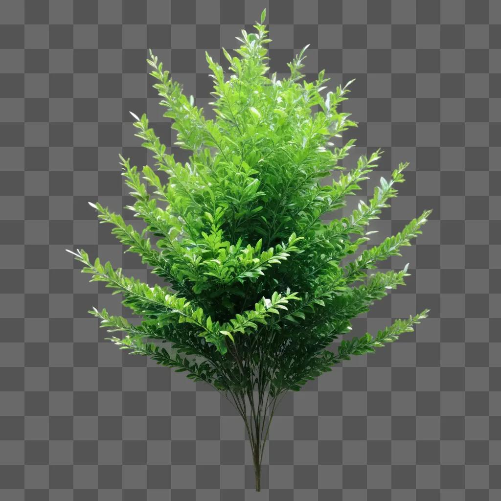 transparent bush with bright green leaves