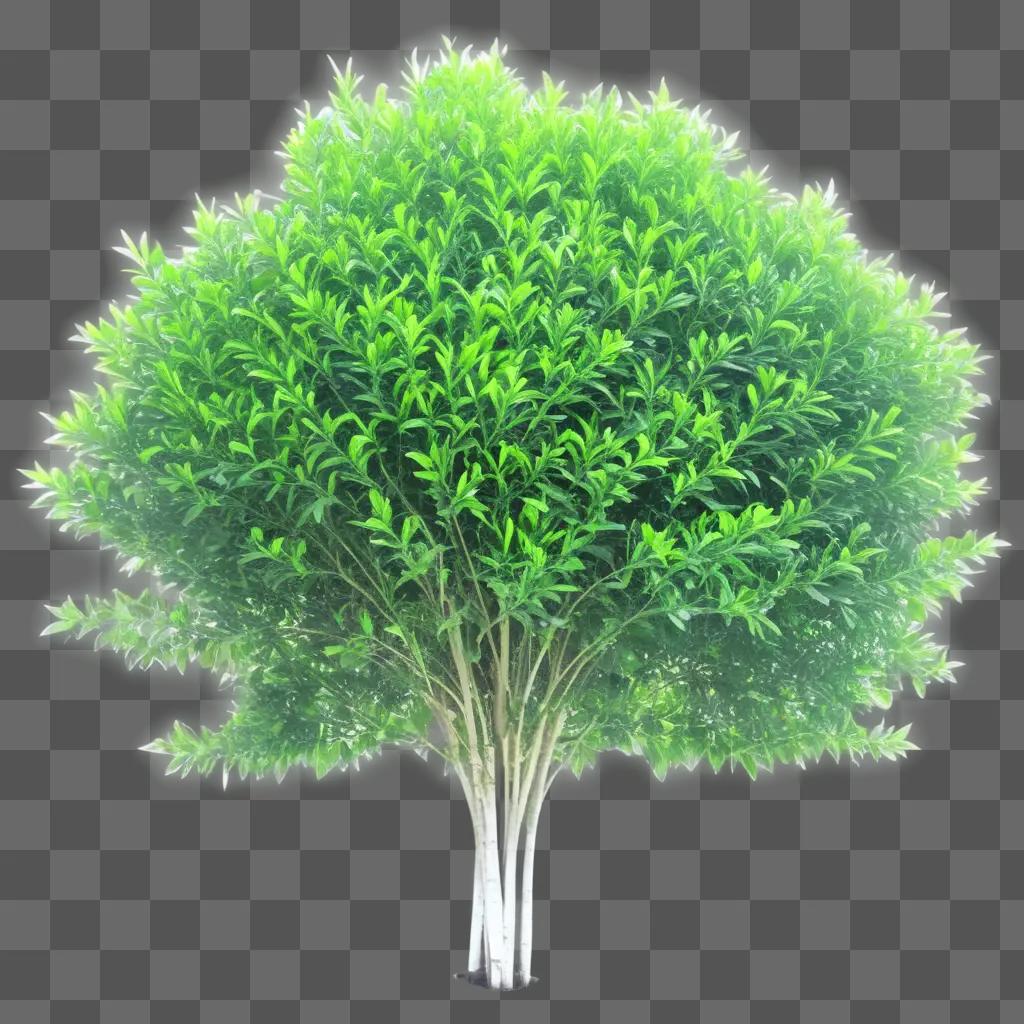 transparent bush with bright leaves