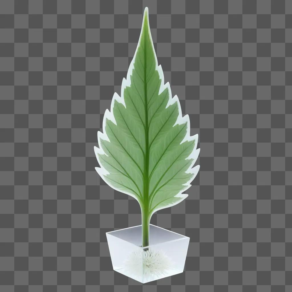 transparent plant is in a cube vase on a green background