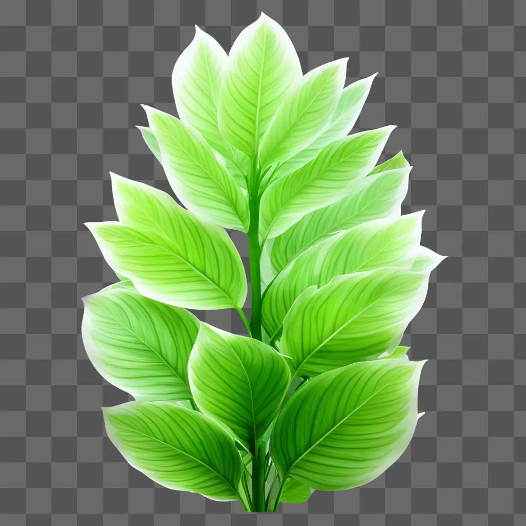 transparent plant is standing on a green background