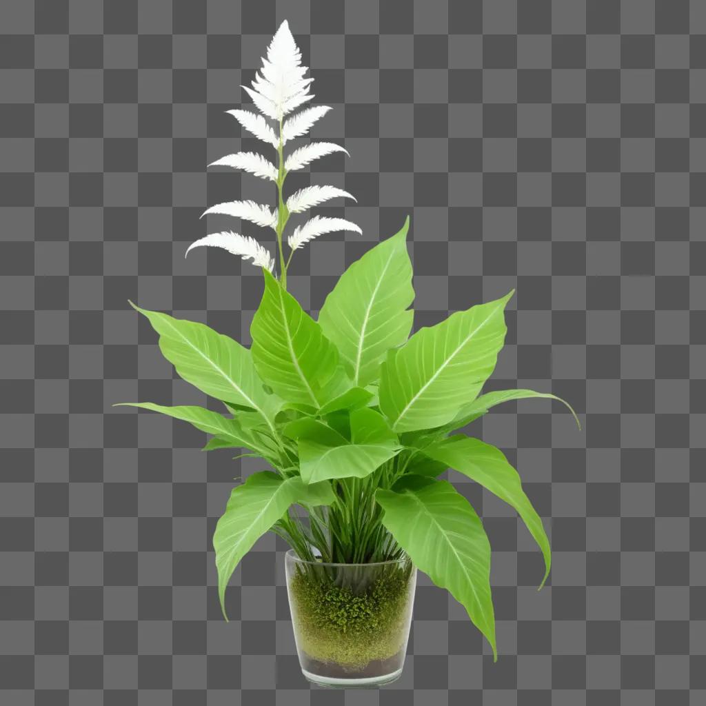 transparent plant sits in a clear vase on a green background