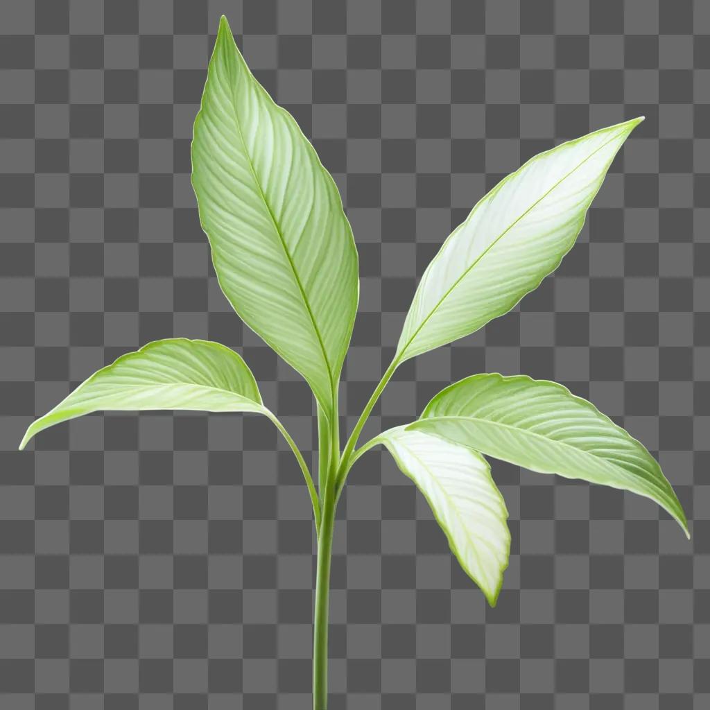 transparent plant stands in a blurred green background