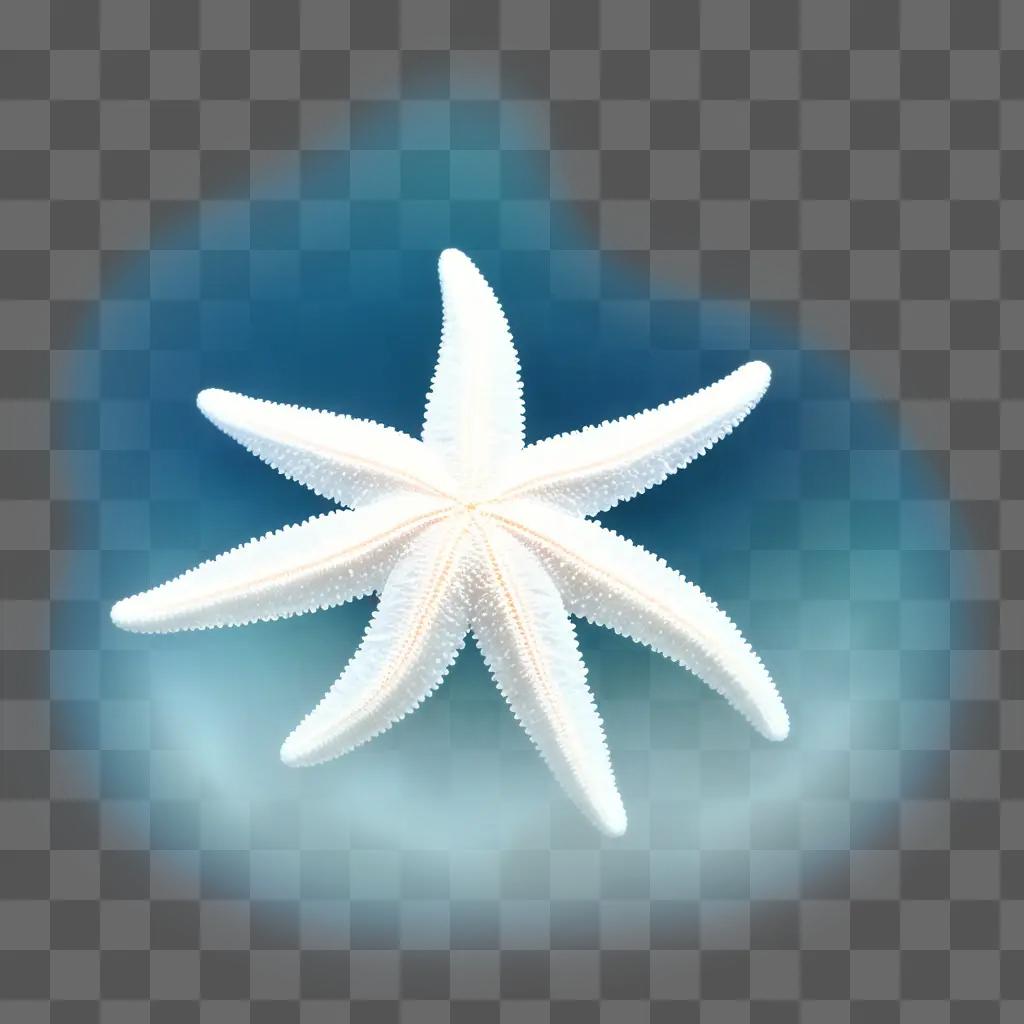 transparent starfish on a blue background