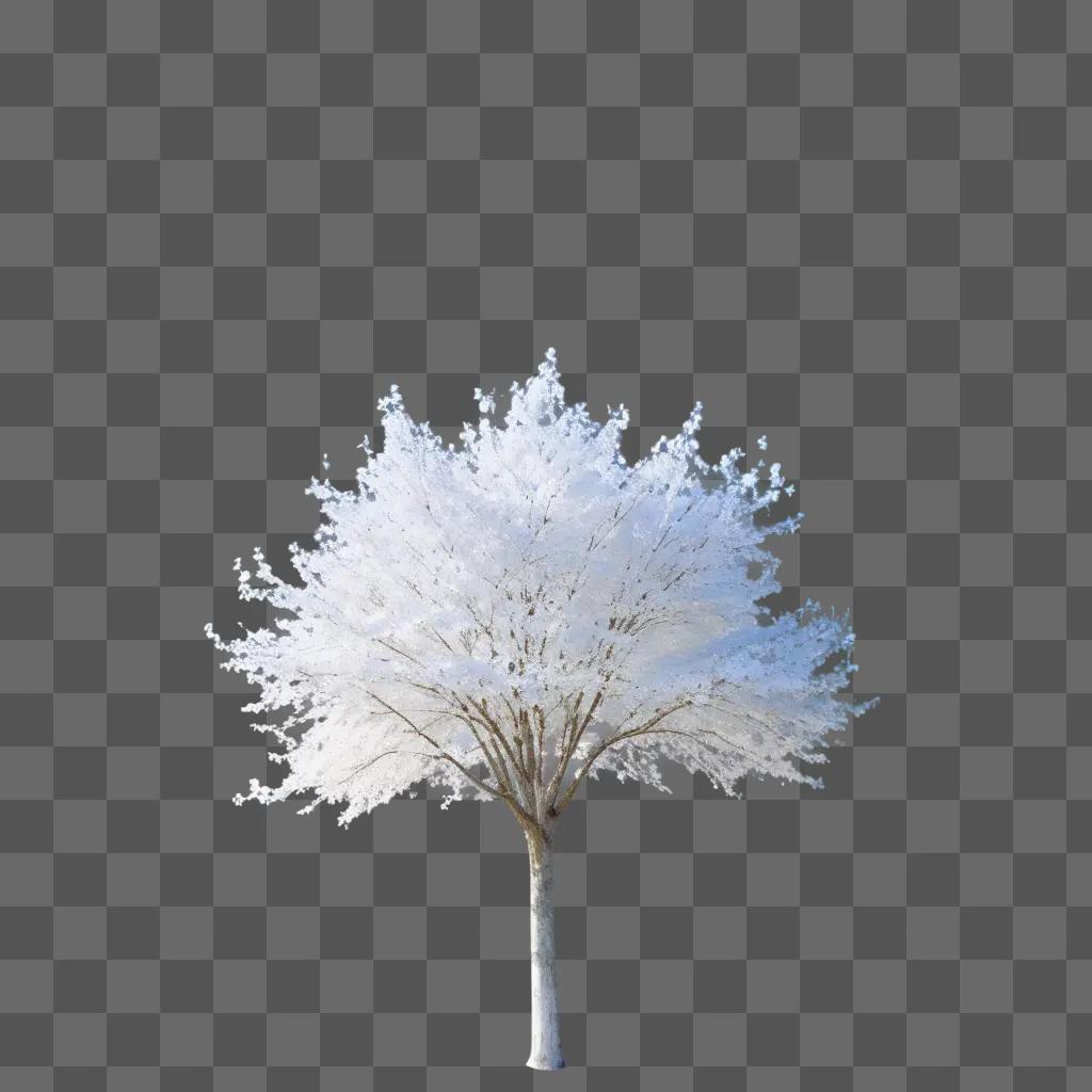 白い背景の透明な木