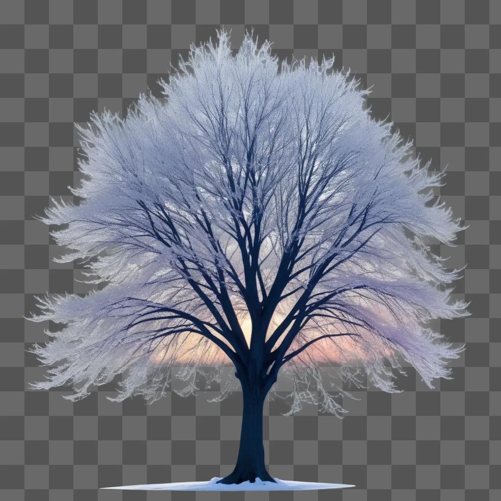 tree is shown in a transparent image