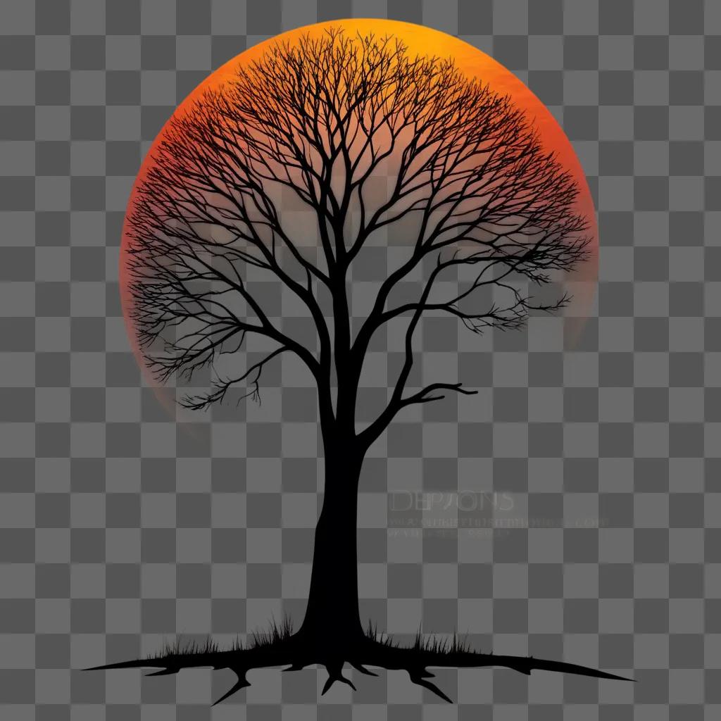 tree silhouette in a sunset sky