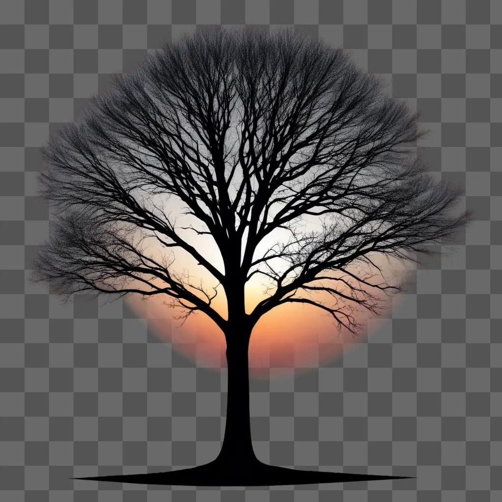 tree silhouette with a glowing sun in the background