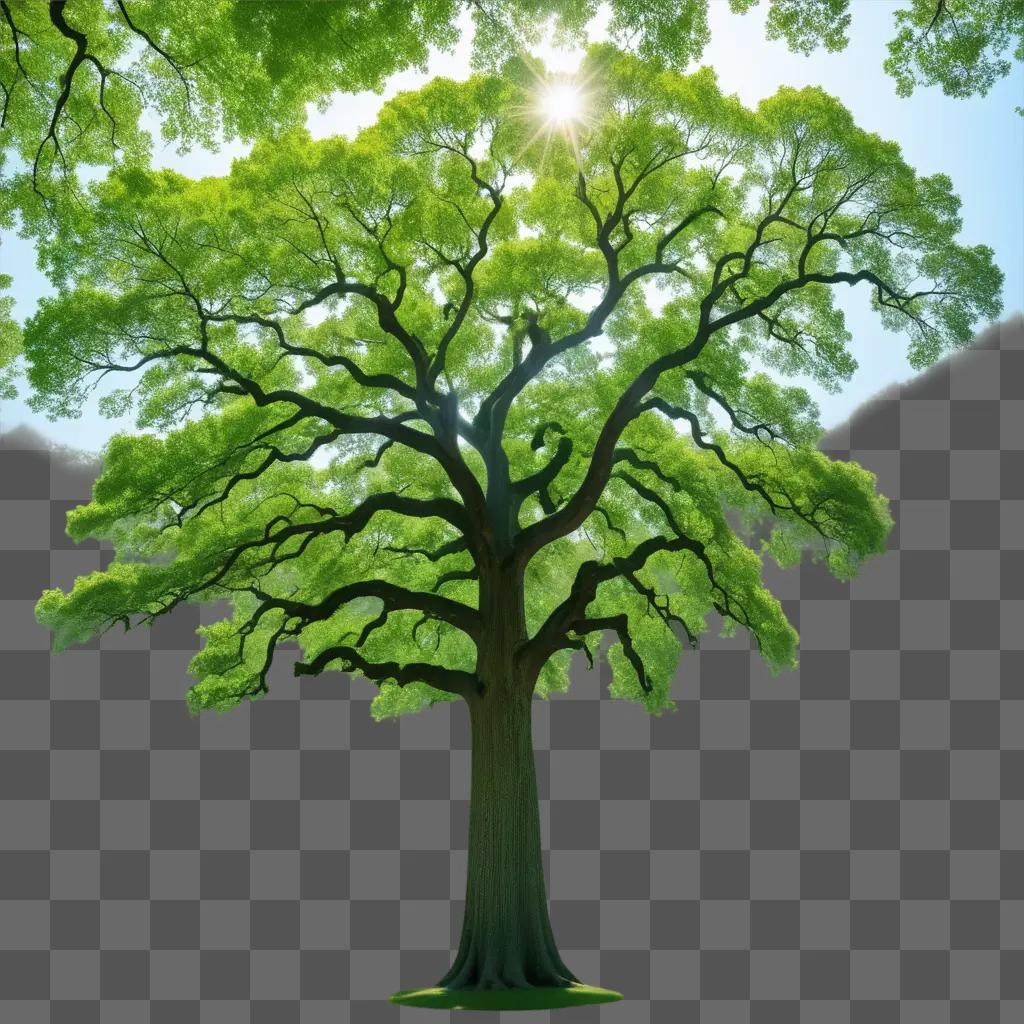 tree stands under a bright sun