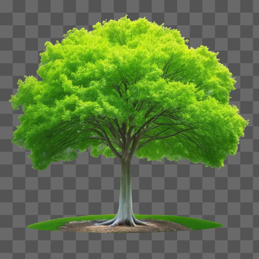 tree with a trunk of multiple layers