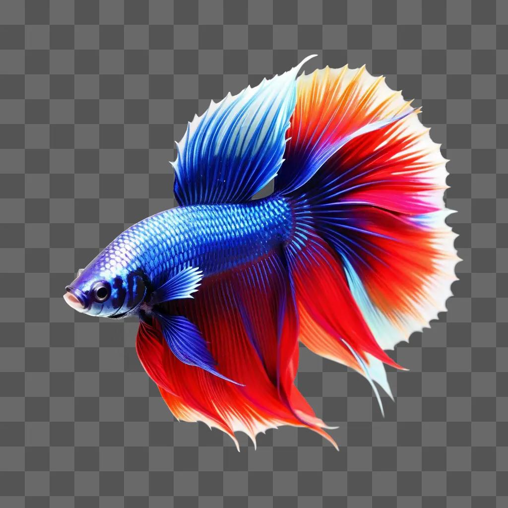 vibrant Betta fish with a light blue body and orange tail