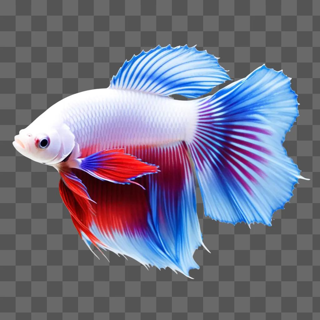 vibrant betta fish swims in the water