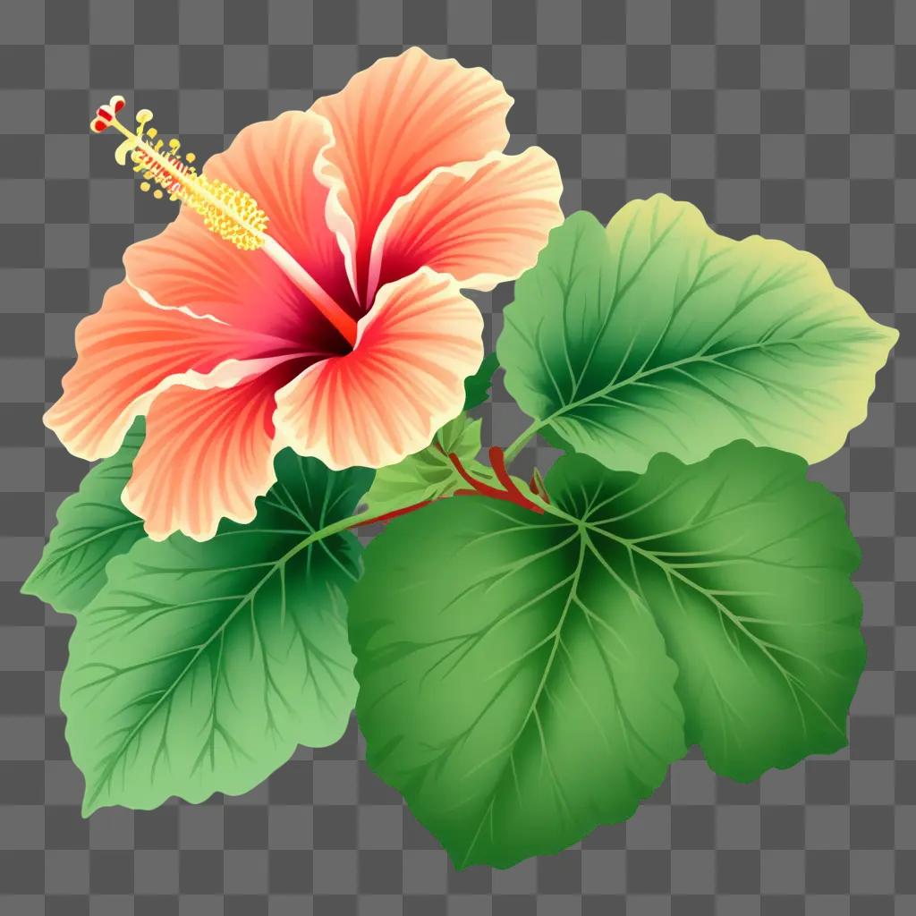 vibrant clipart hibiscus with green leaves