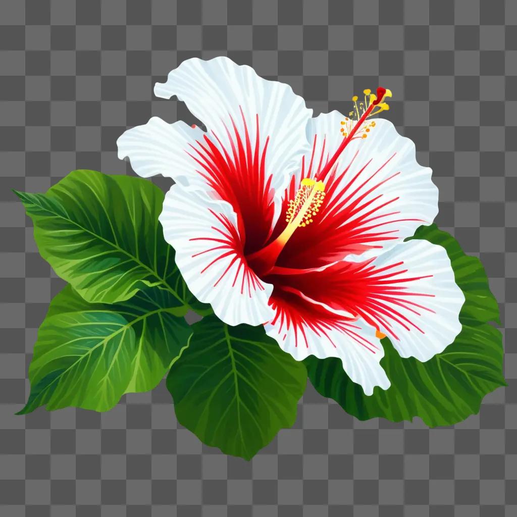 vibrant drawing of a red and white hibiscus flower