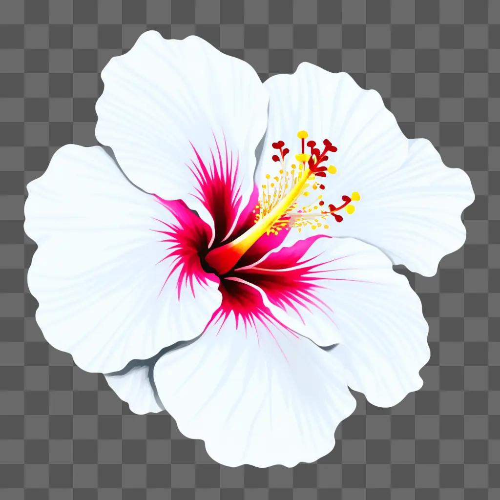 vibrant hibiscus flower in a white background