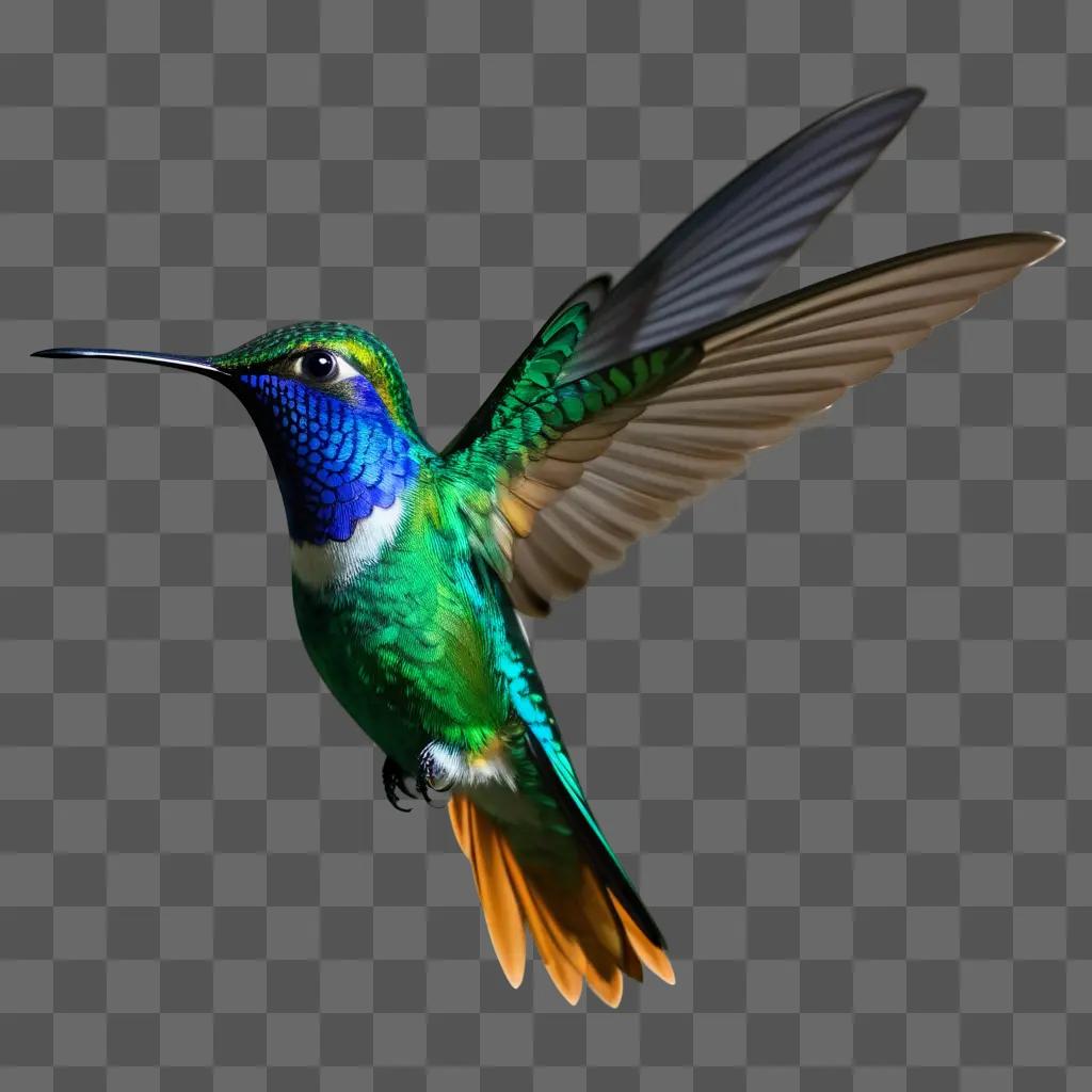 vibrant hummingbird flies against a green background