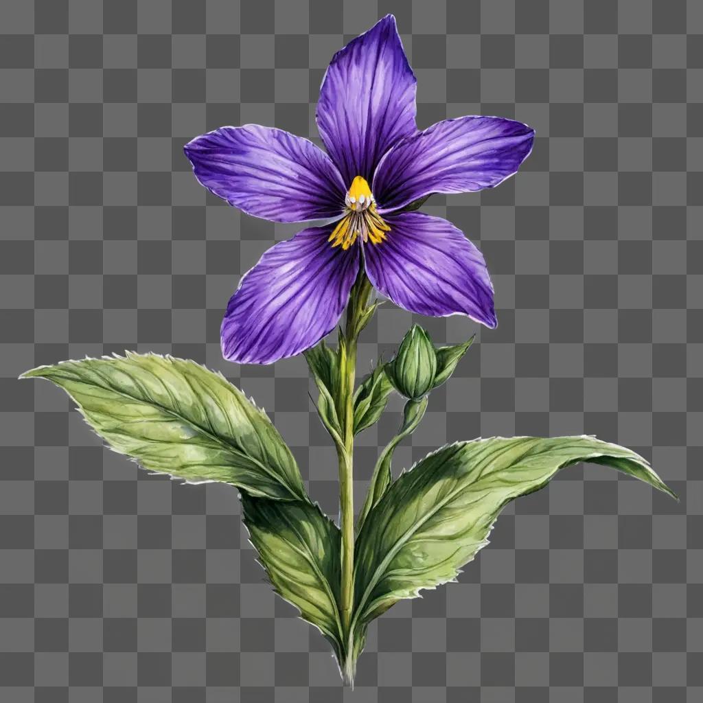 violet flower drawing A purple flower with yellow center and green leaves