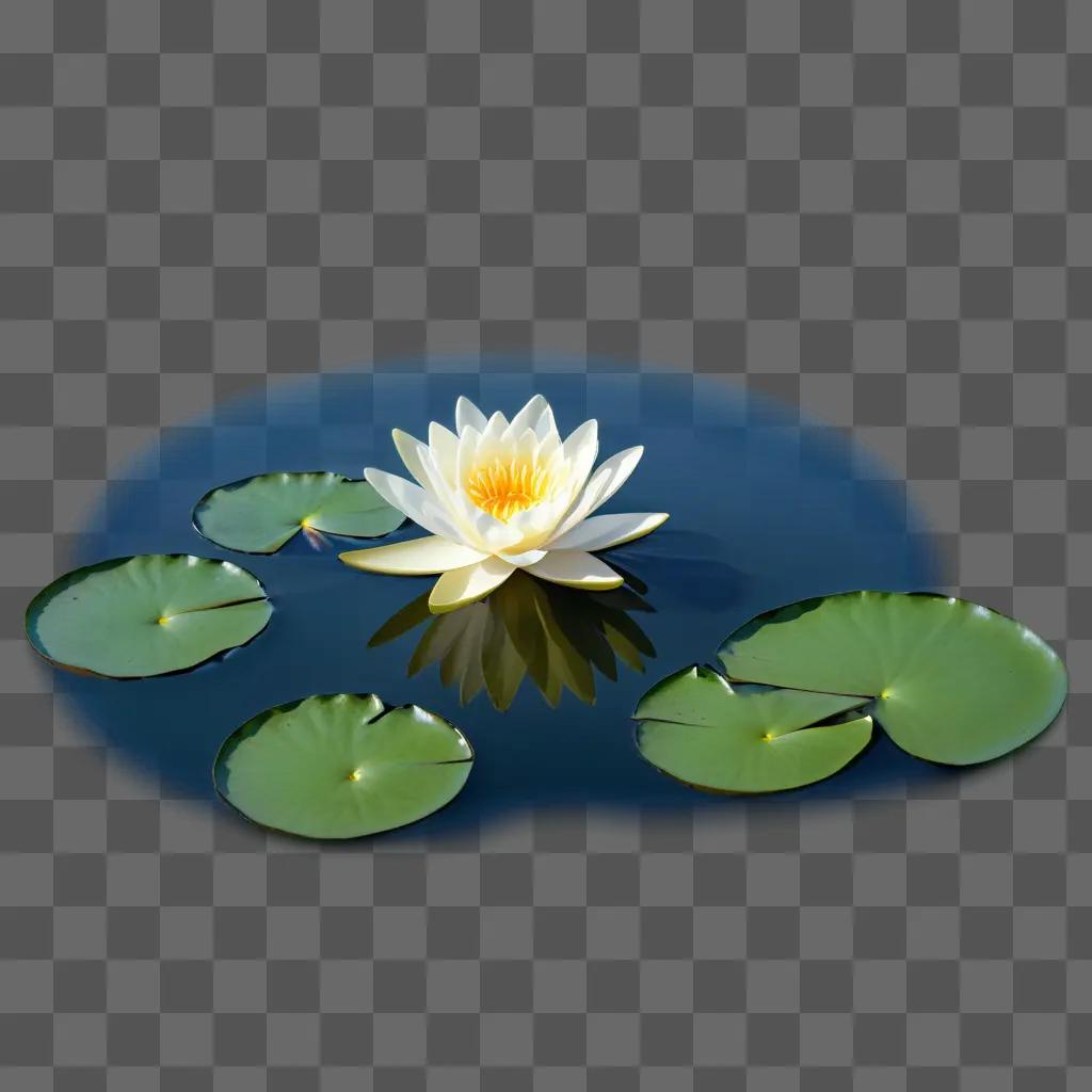 water lily with green leaves and a yellow center