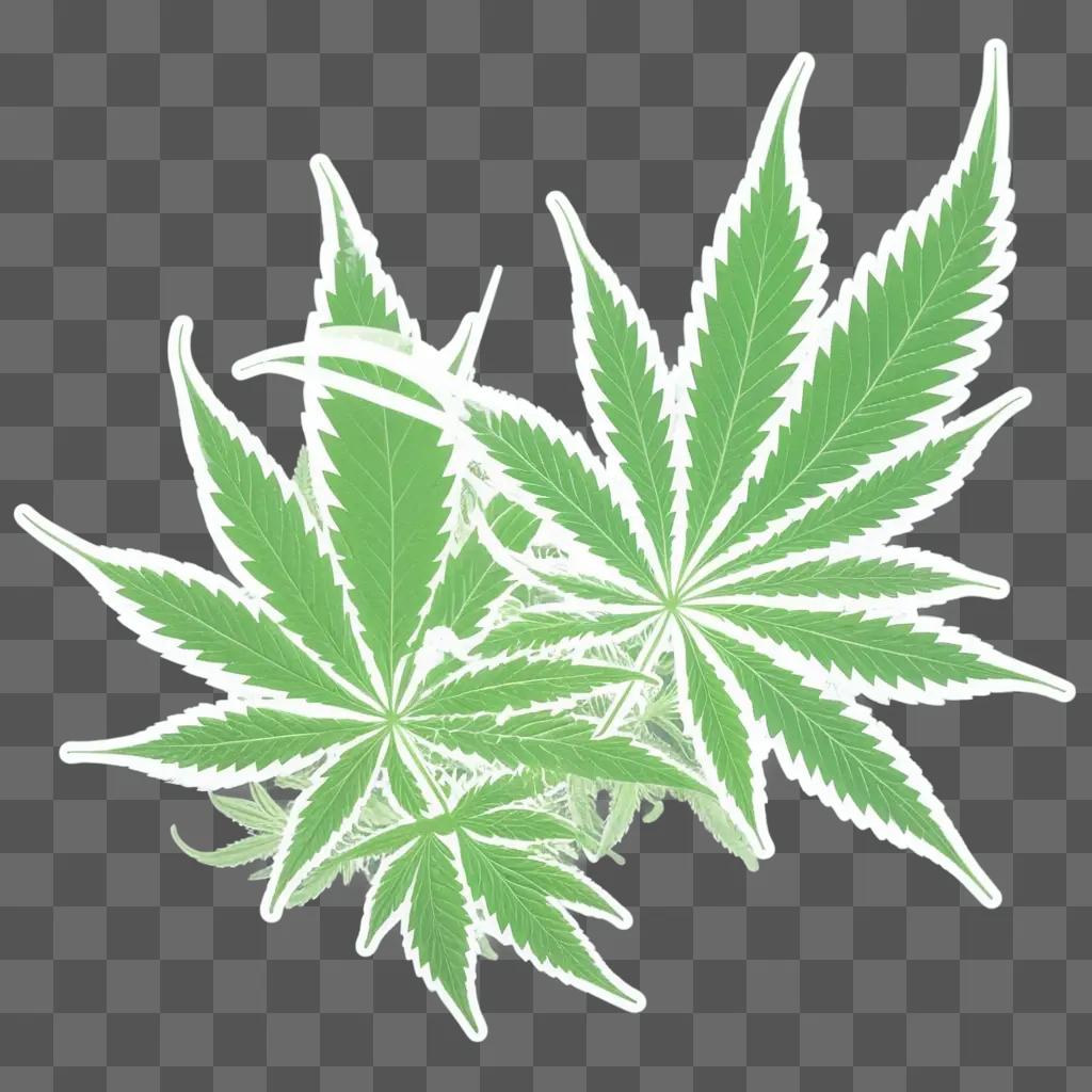 weed design with a transparent background