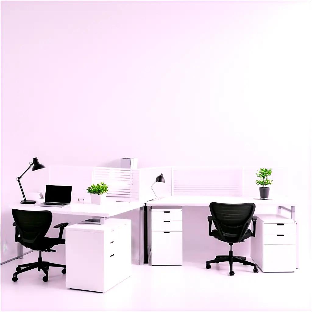 well-organized office with two desks