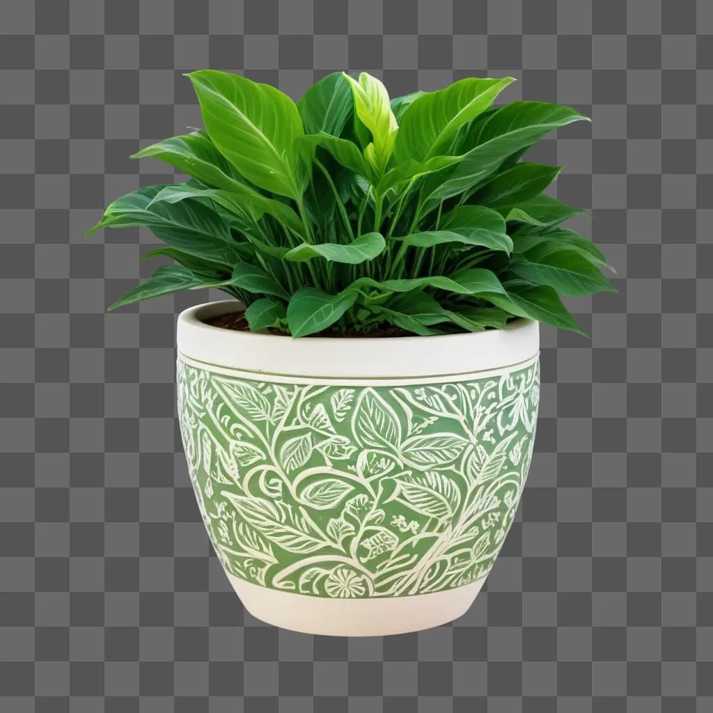 white and green planter pot with a green plant in it