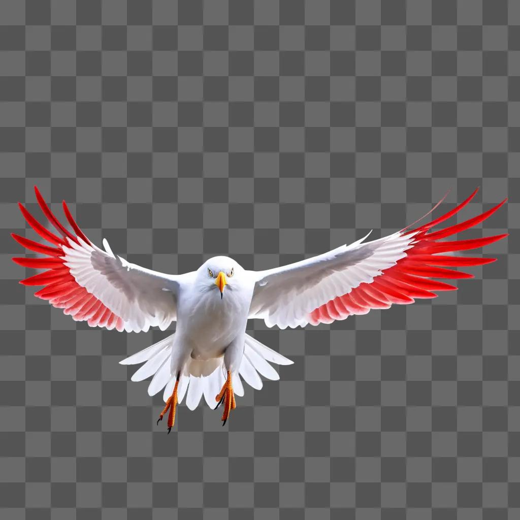 white bird with red wings flies in the sky