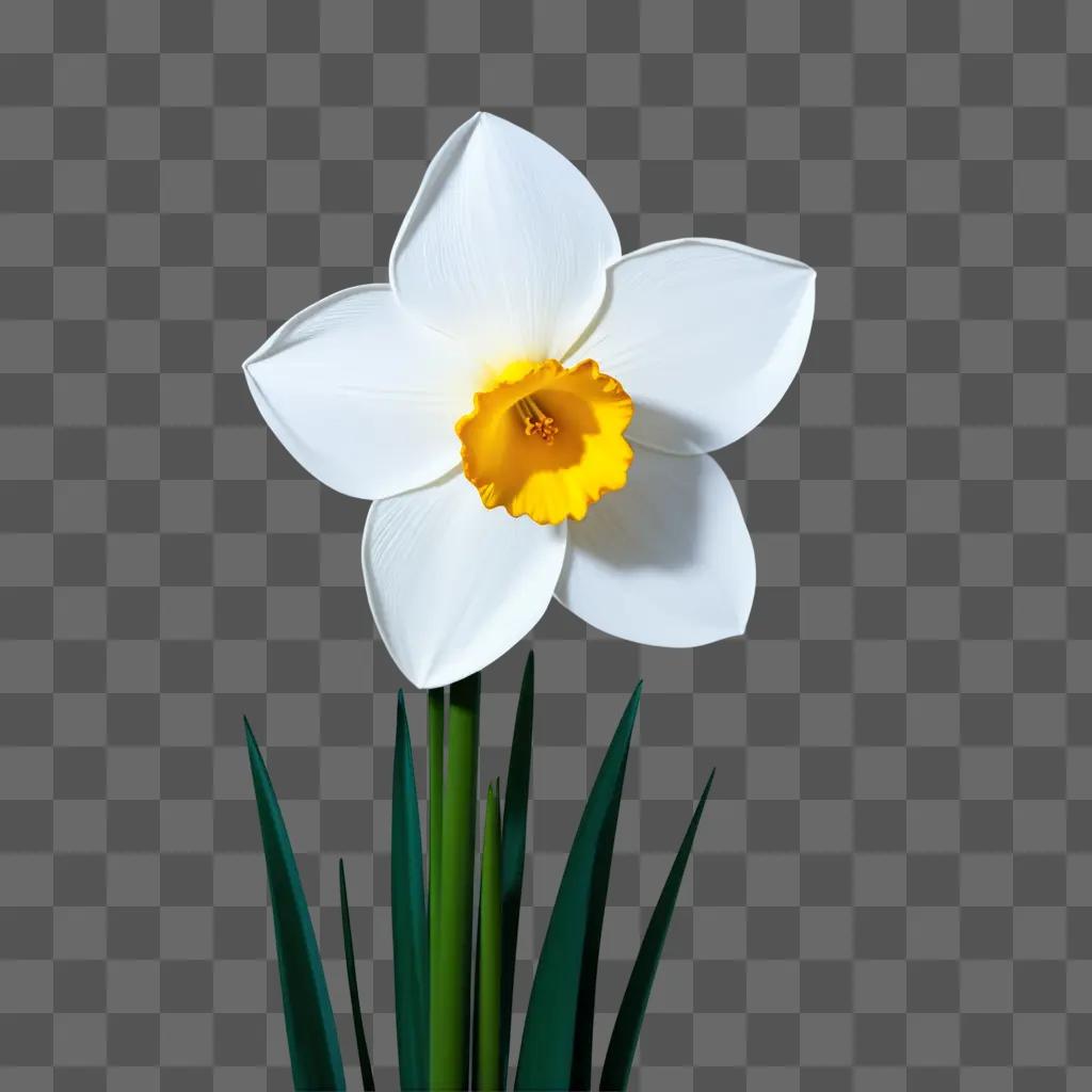 white daffodil is drawn in a blur