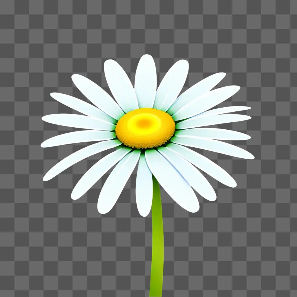 white daisy with a yellow center and green stem