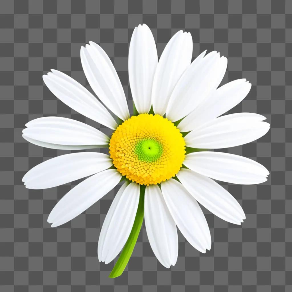 white daisy with green stem and yellow center