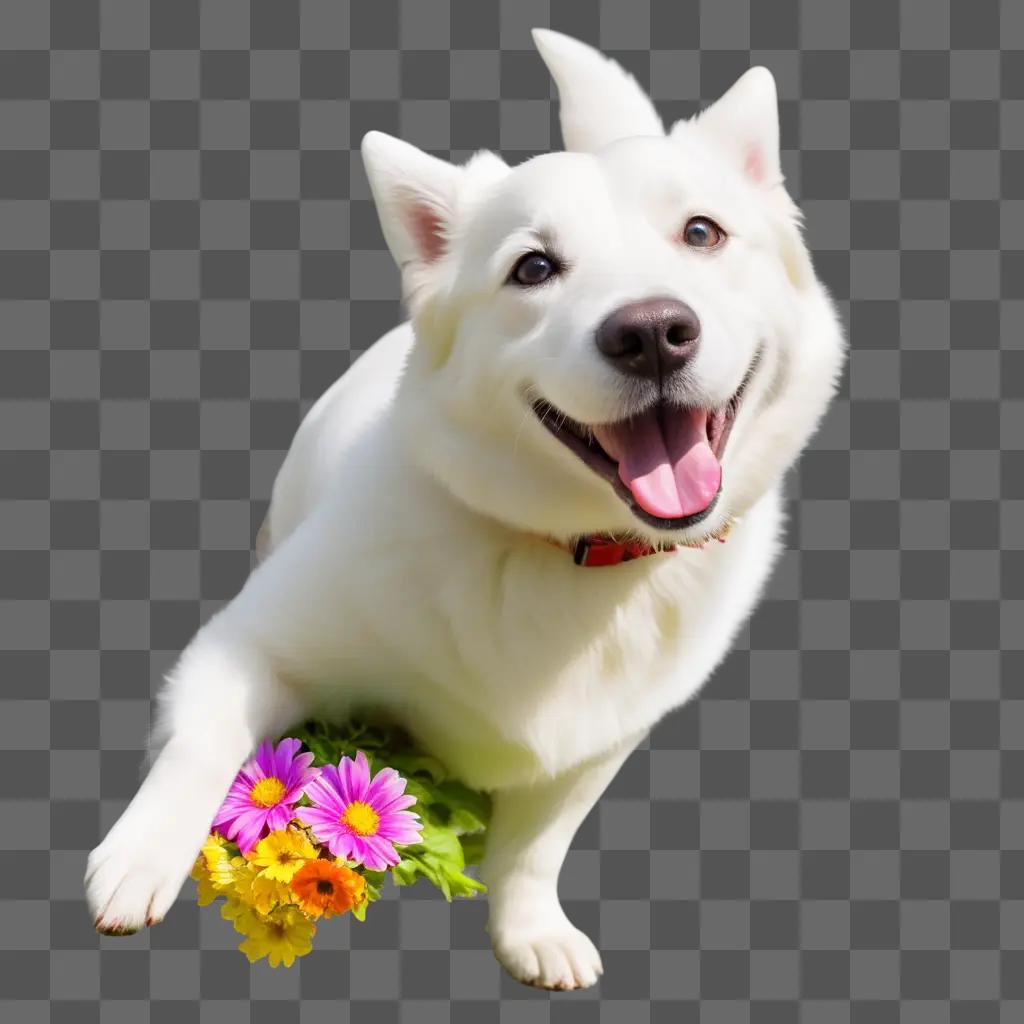 white dog with a smile and a flower