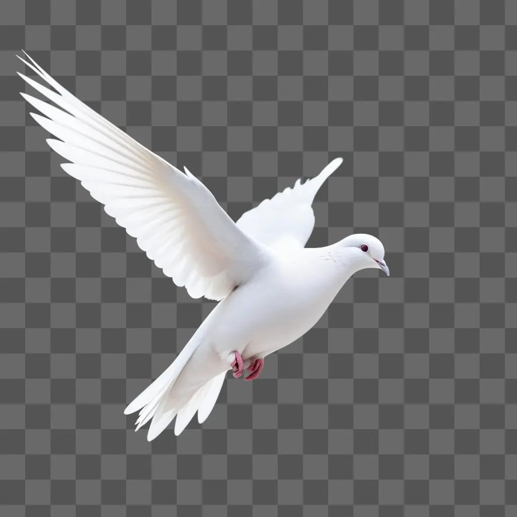 white dove flying through a white sky