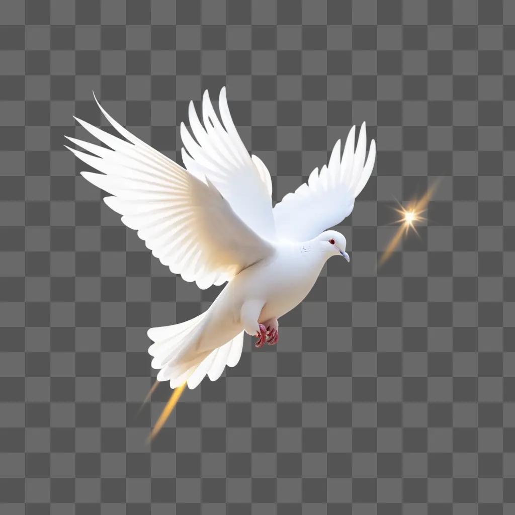 white dove is flying over a white background