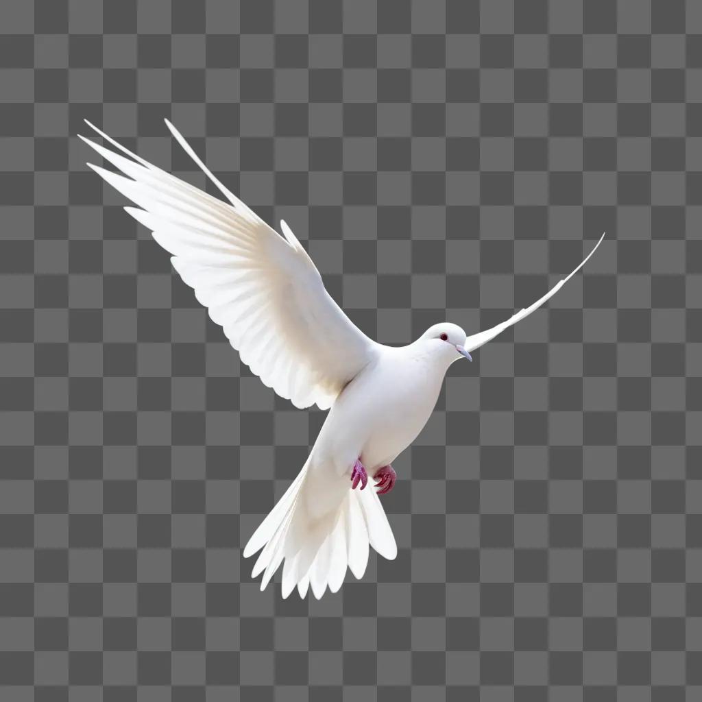 white dove spreads its wings in a light effect