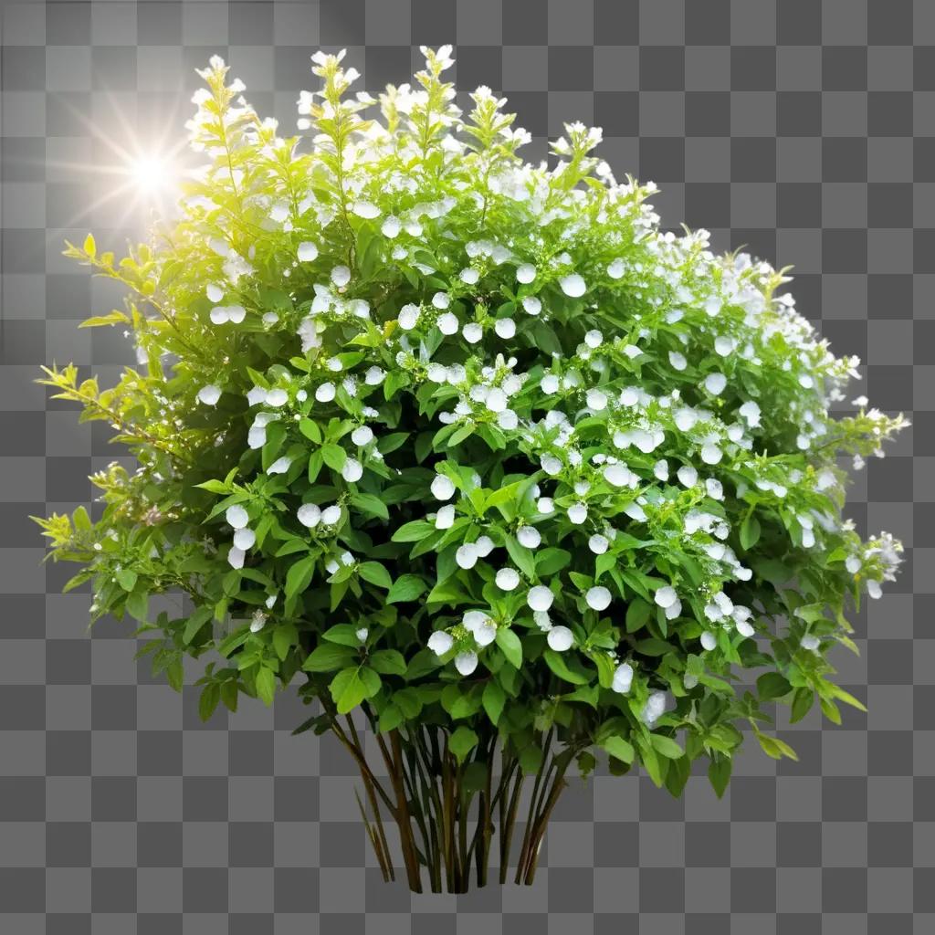 white flower bush in a green background