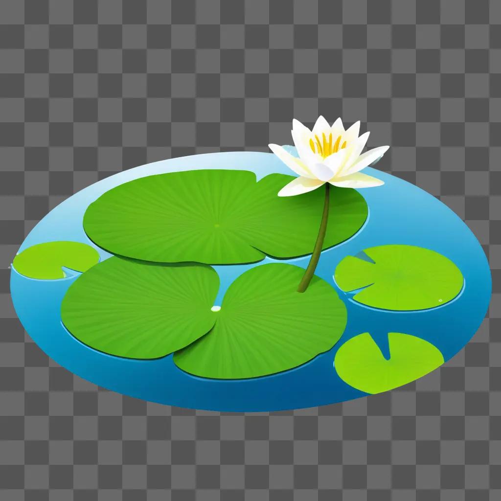 white lily pad floats in the water