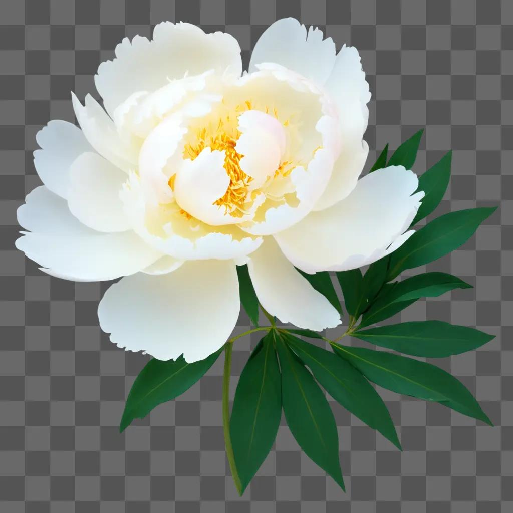 white peony with yellow center surrounded by green leaves