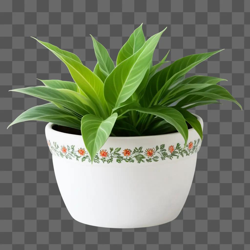 white plant pot with a green plant inside it