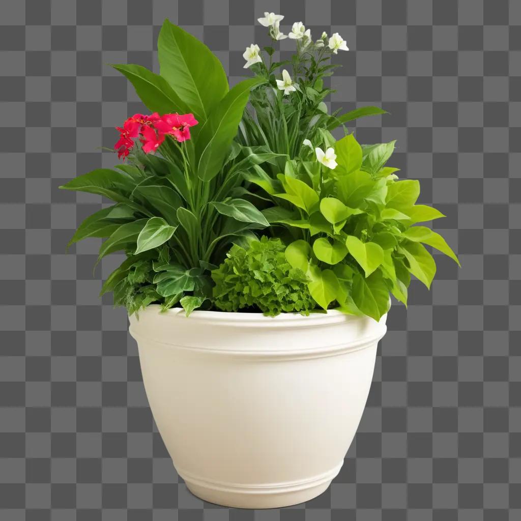 white planter pot filled with colorful plants