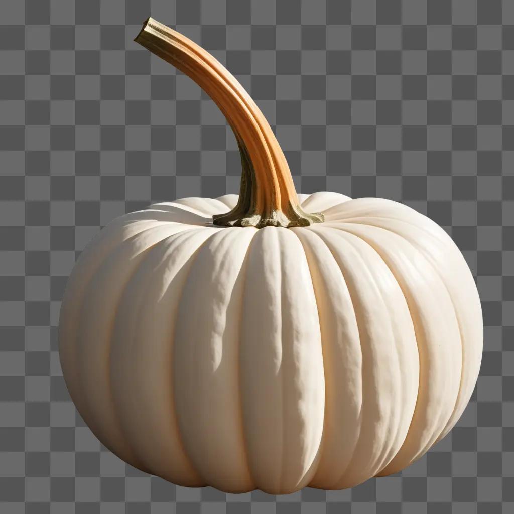 white pumpkin sits on a white background