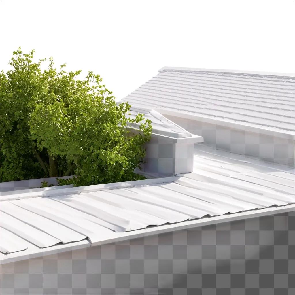 white roof with a green plant on top