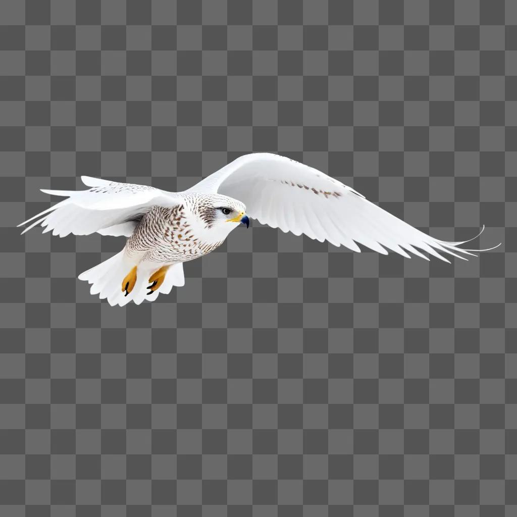 white snow falcon flying in the air