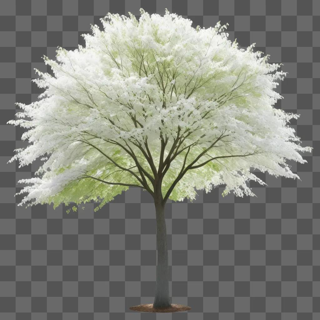 white tree in a blurry background