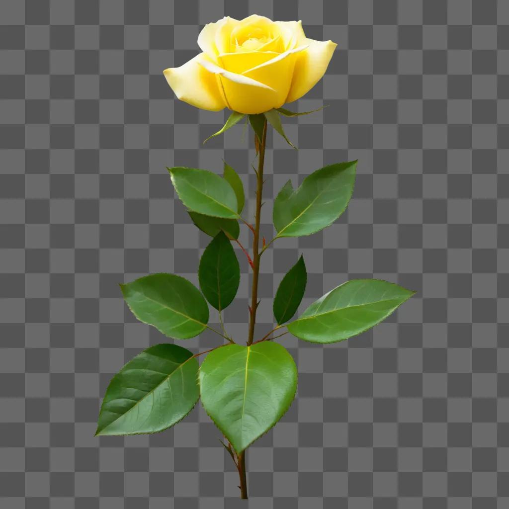 yellow rose blooms against a green background