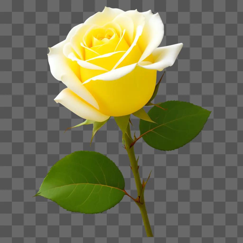 yellow rose with green leaves on a green background